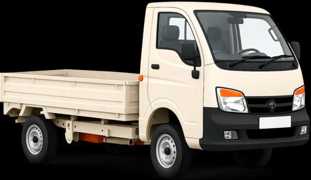 4W Mini Truck (Open)